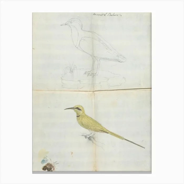 2 Birds Aroust El Bahar, Luigi Balugani Canvas Print by Fy! Classic Art Prints and Posters