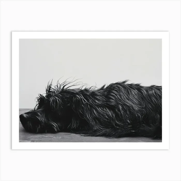 ‘Dog Laying Down’ Art Print by ThatWorksMedia