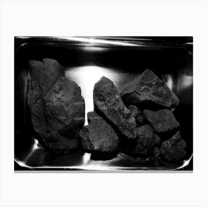 A Close Up View Of The Lunar Rocks Contained In The Second Apollo 11 Sample Return Container Canvas Print by Fy! Classic Art Prints and Posters