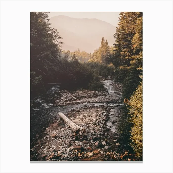 A Pacific Northwest River PNW Canvas PrintN by NatureMagick
