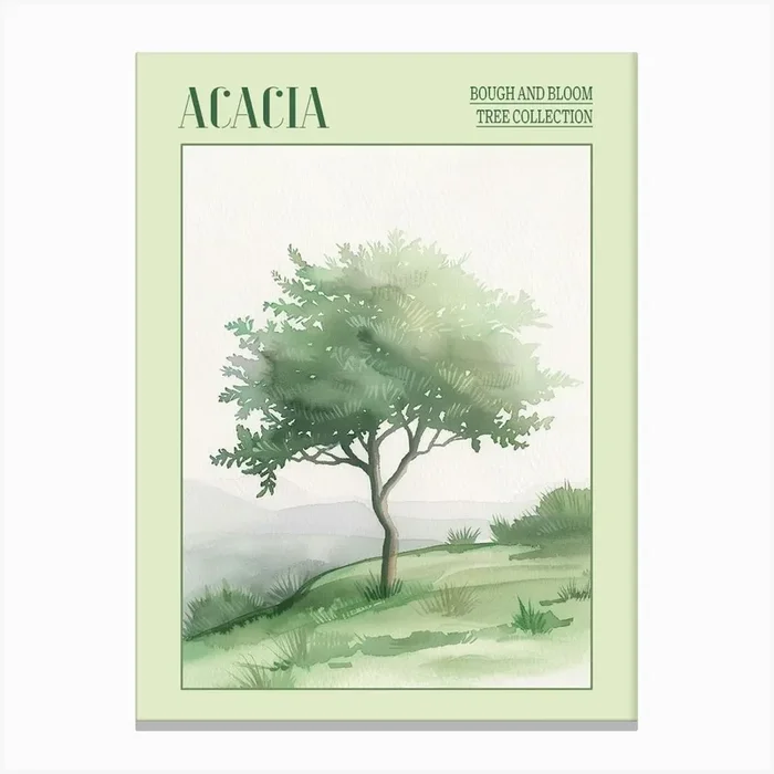 Acacia Tree Atmospheric Watercolour Painting 3 Poster Canvas Print by Bough And Bloom Artistry