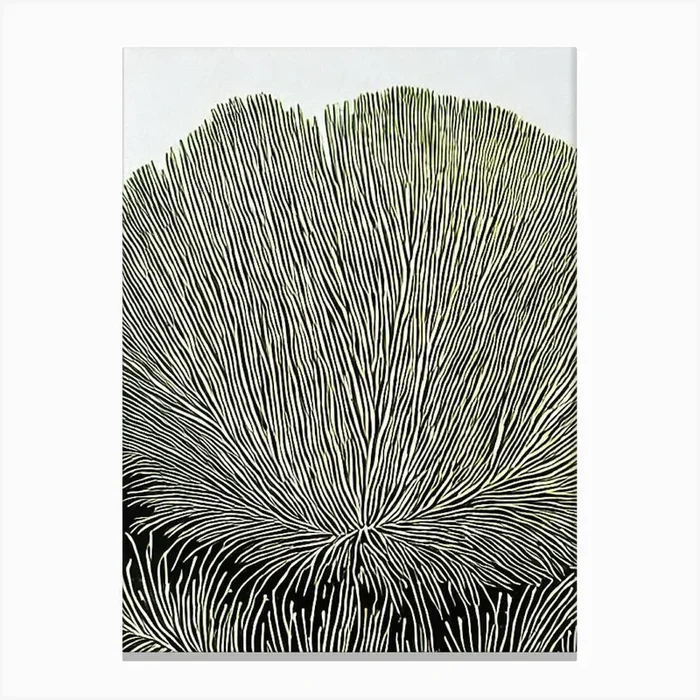 Acropora Gemmifera Linocut Canvas Print by Reef Reflections