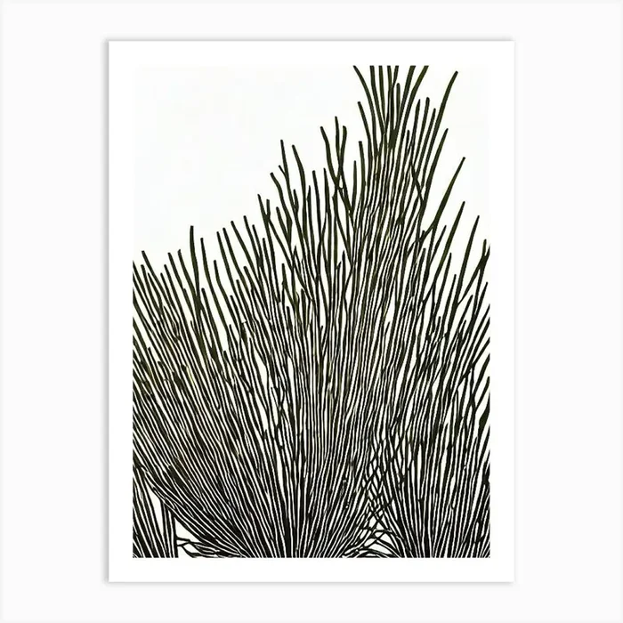 Acropora Intermedia Iiii Linocut Art Print by Reef Reflections