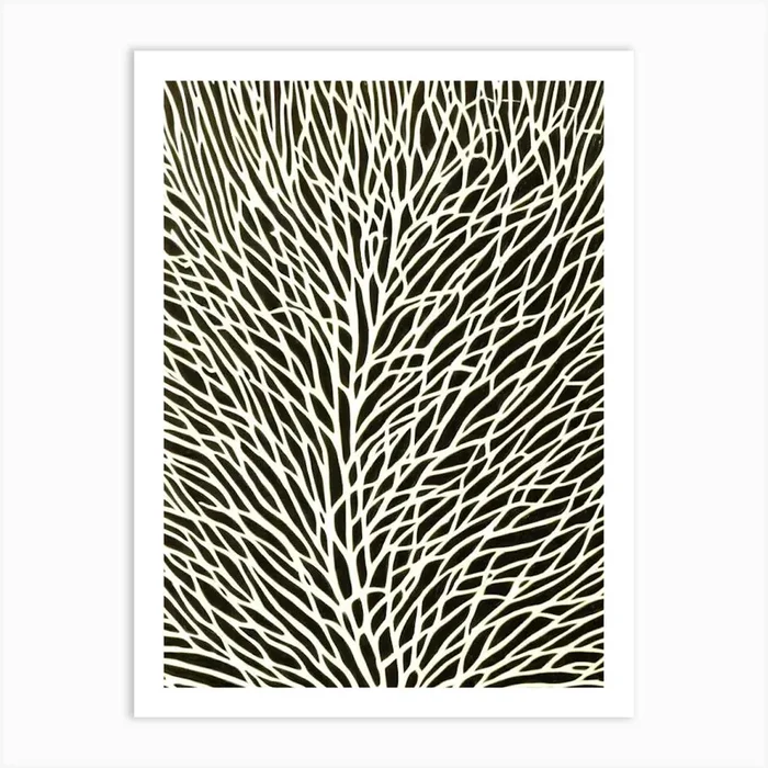 Acropora Palifera Ii Linocut Art Print by Reef Reflections