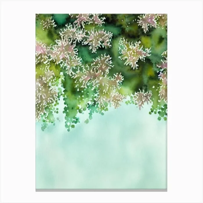 Acropora Tenella Iiii Storybook Watercolour Canvas Print by Reef Reflections