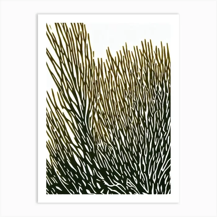 Acropora Tenius Iii Linocut Art Print by Reef Reflections