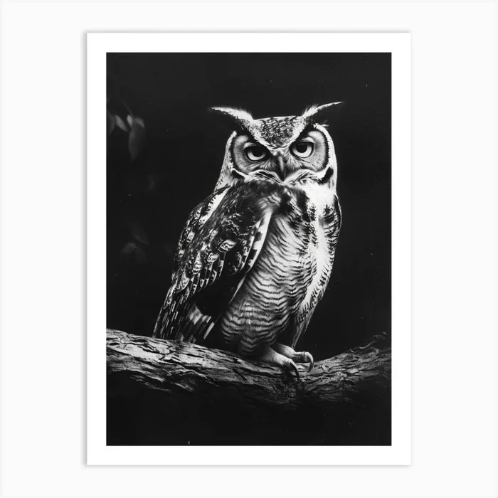 African Scops Owl Charcoal Drawing 1 Art Print by Feathered Muse