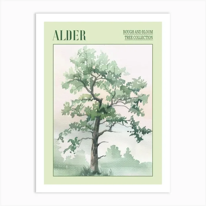 Alder Tree Atmospheric Watercolour Painting 3 Poster Art Print by Bough And Bloom Artistry