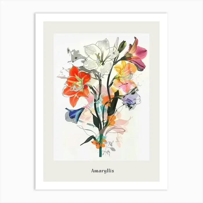 Amaryllis 1 Collage Flower Bouquet Poster Art Print by Botanic Studio