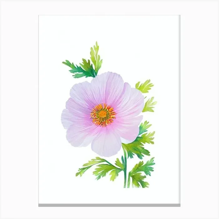 Anemone 3 Watercolour Flower Canvas Print by The Artsy Florist