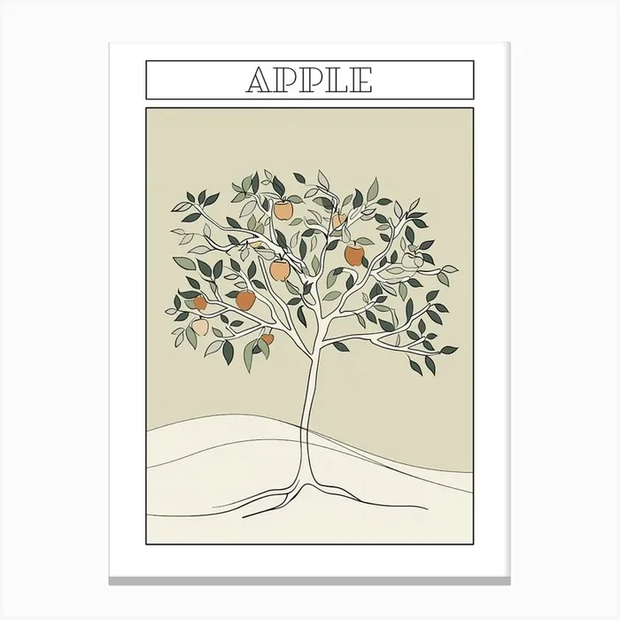 Apple Tree Minimalistic Drawing 3 Poster Canvas Print by Bough And Bloom Artistry