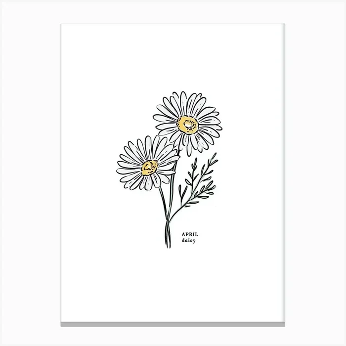 April Daisy Birth Flower 1 Canvas Print by Jande Summer