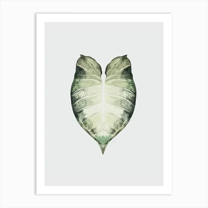 Arrowhead Art Print by Marcela Picinin