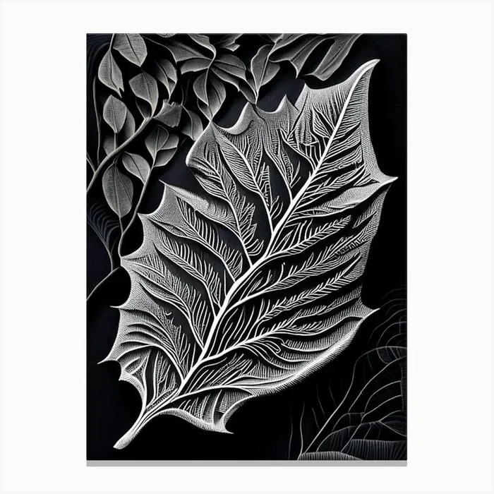 Ash Leaf Linocut 2 Canvas PrintL& by Leaf & Stem Studio
