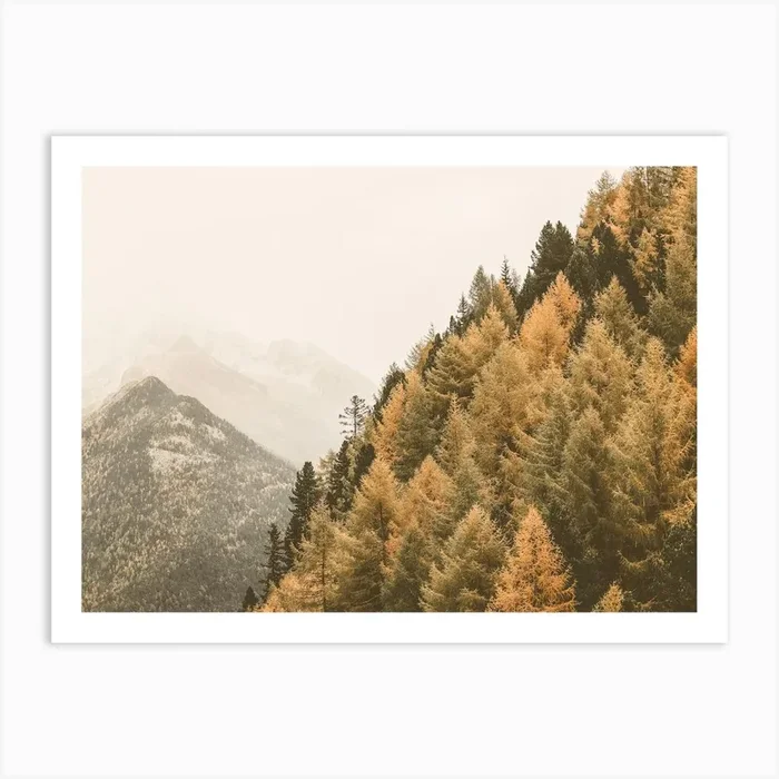 Autumn Trees Art Print by Boheme At Home