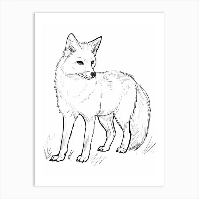 B&W Arctic Fox Art Print by Scribble Studio