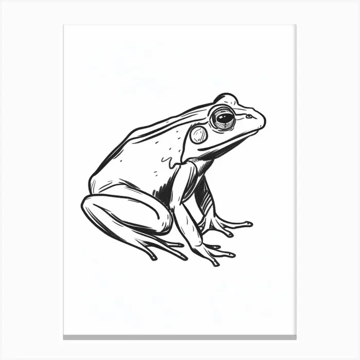B&W Frog Canvas Print by Scribble Studio