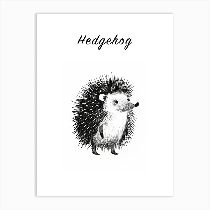 B&W Hedgehog 3 Poster Art Print by Scribble Studio