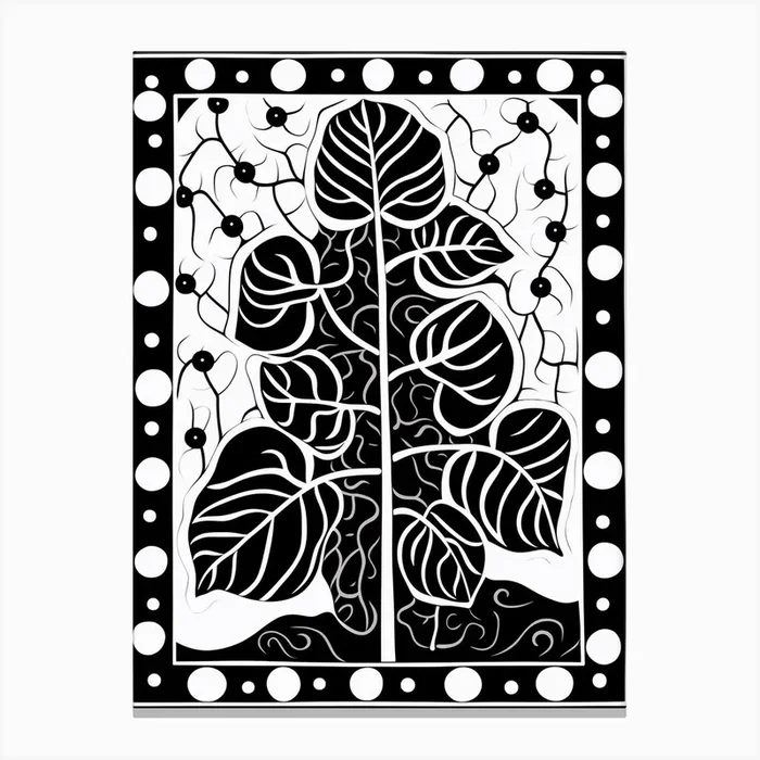 B&W Plant Illustration Hoya 4 Canvas Print by Botanic Studio