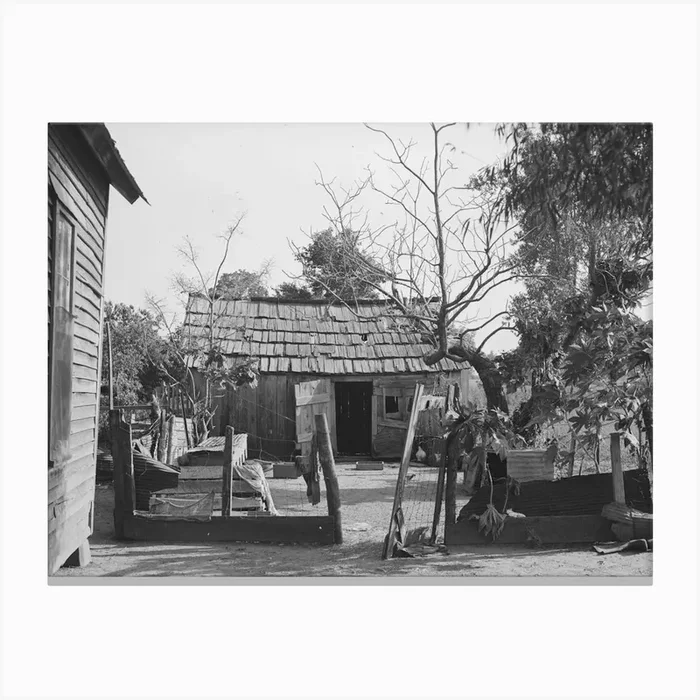 Backyard Of Sharecropper S Home, He Will Participate Under Tenant Purchase Program, Near Caruthersville, Missouri Canvas Print by Fy! Classic Art Prints and Posters