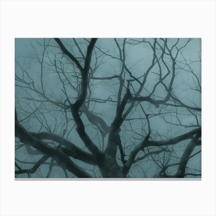 Bare Tree In Fog And Cold Light Canvas PrintML by Michael Lomiya