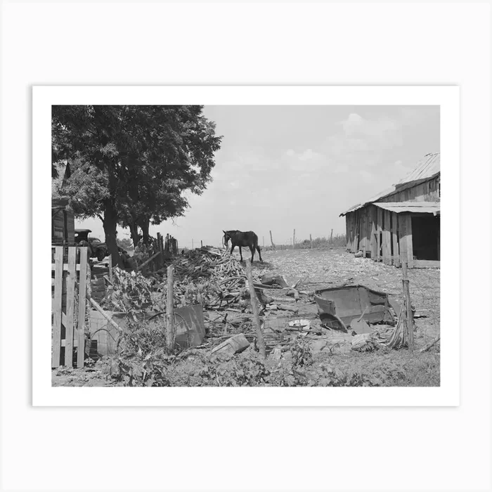 Barnyard Of Tenant Farmer Near Muskogee, Oklahoma, Refer To General Caption Number 20 By Russell Lee Art Print by Fy! Classic Art Prints and Posters