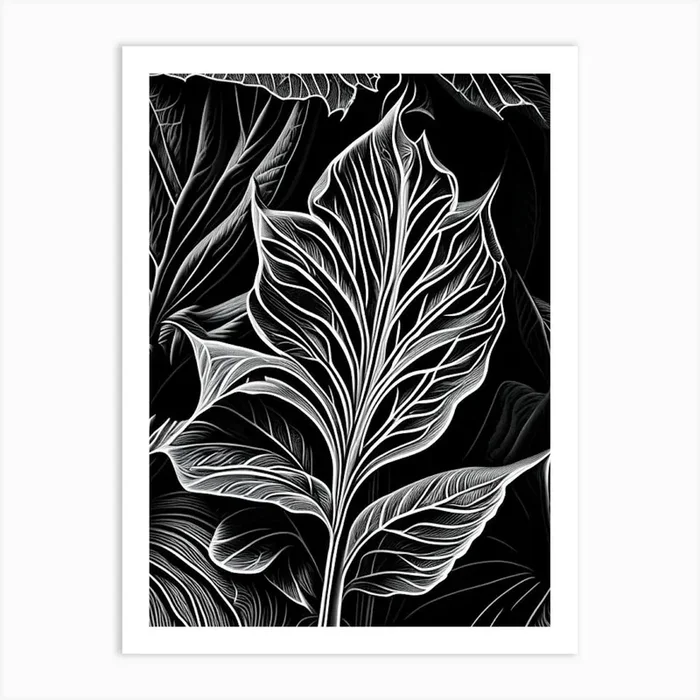Basil Leaf Linocut 2 Art PrintL& by Leaf & Stem Studio