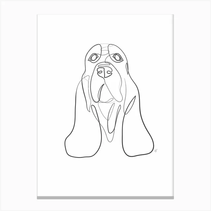 Bassethound Canvas Print by Lines&Dots