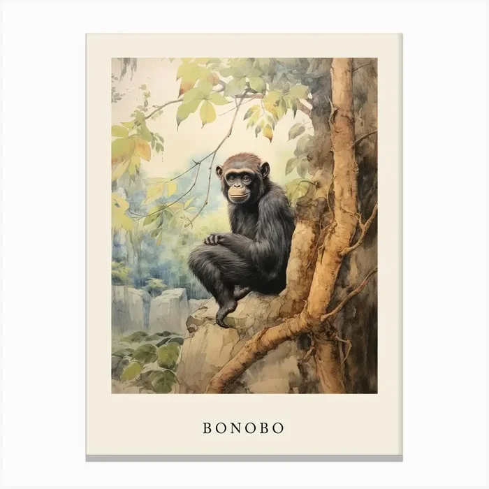 Beatrix Potter Inspired Animal Watercolour Bonobo 3 Canvas Print by Scribble Studio