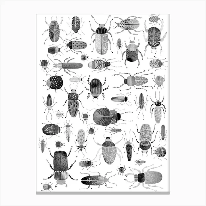 Beetles and Bugs Ink Painting Canvas PrintNS by Nic Squirrell