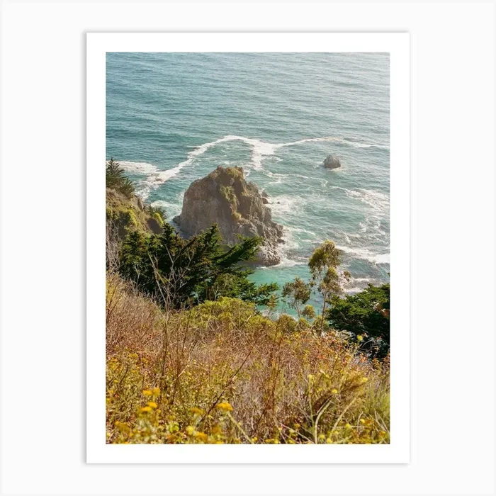 Big Sur V on Film Art Print by Bethany Young