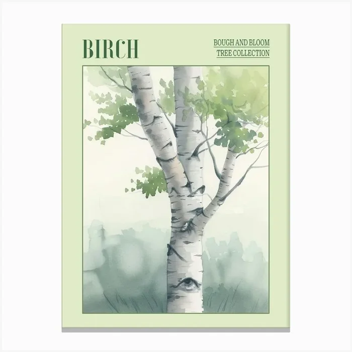 Birch Tree Atmospheric Watercolour Painting 3 Poster Canvas Print by Bough And Bloom Artistry