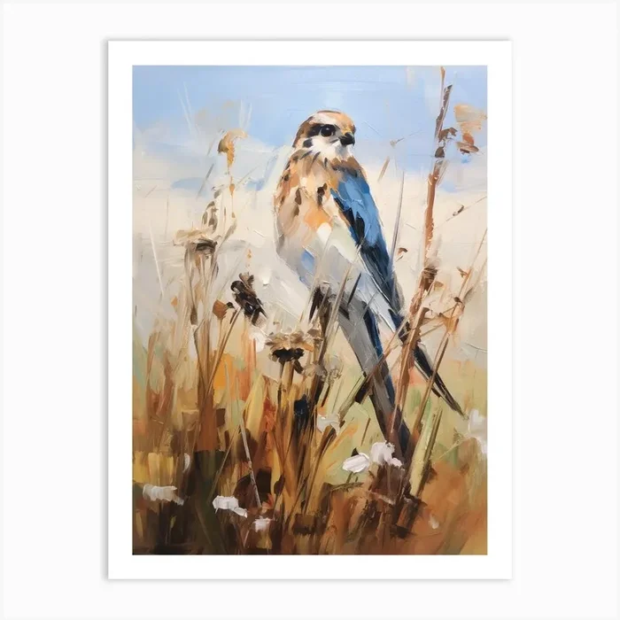 Bird Painting American Kestrel 3 Art Print by Feathered Muse