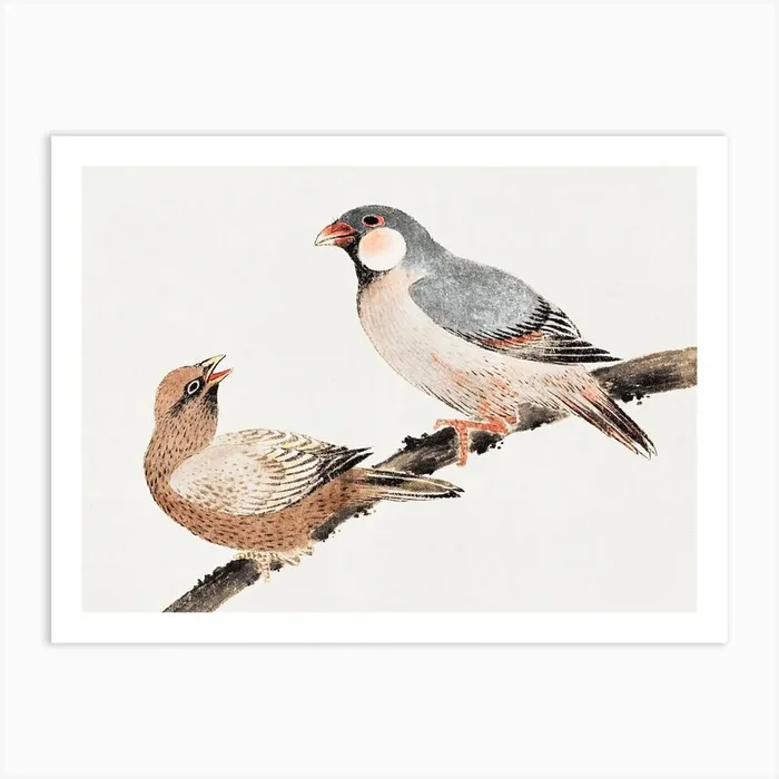 Birds, From Album Of Sketches, Katsushika Hokusai Art Print by Fy! Classic Art Prints and Posters