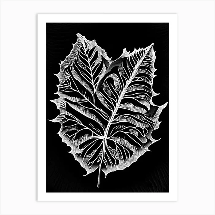 Bitter Leaf Linocut 3 Art PrintL& by Leaf & Stem Studio