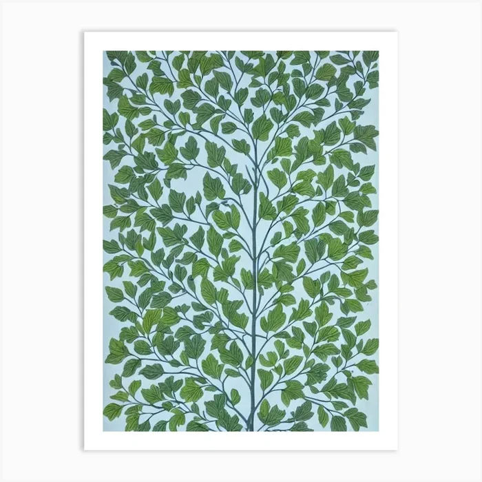 Black Locust 2 tree Vintage Botanical Art PrintAI by Arboreal Impressions