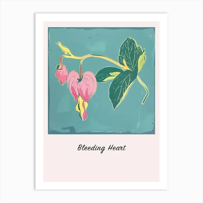Bleeding Heart Square Flower Illustration Poster Art Print by Botanic Studio