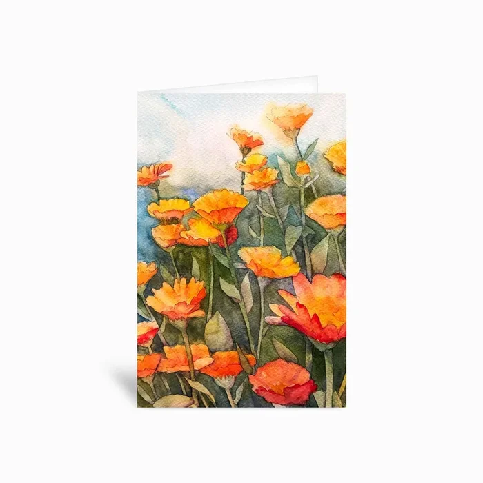 Blooming Calendula Greetings Card by Kerrie Hubbard