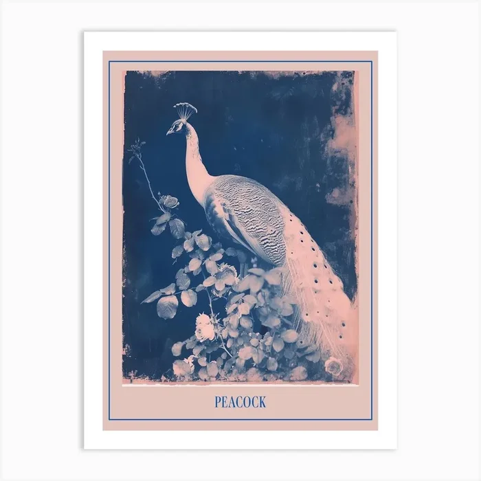 Blue & Pink Peacock Portrait 2 Poster Art Print by Featherline