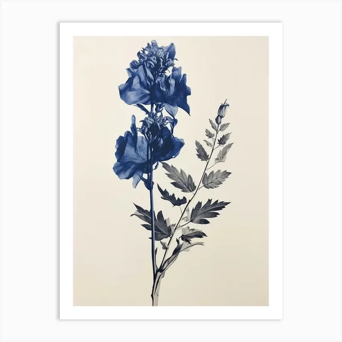 Blue Botanical Aconitum 1 Art Print by Botanic Studio