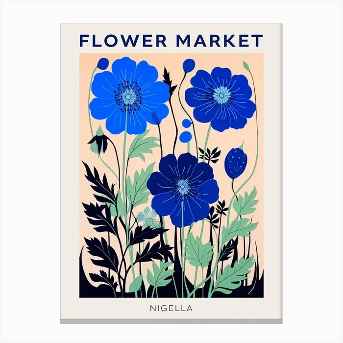 Blue Flower Market Poster Love In A Mist Nigella 2 Canvas Print by Botanic Studio