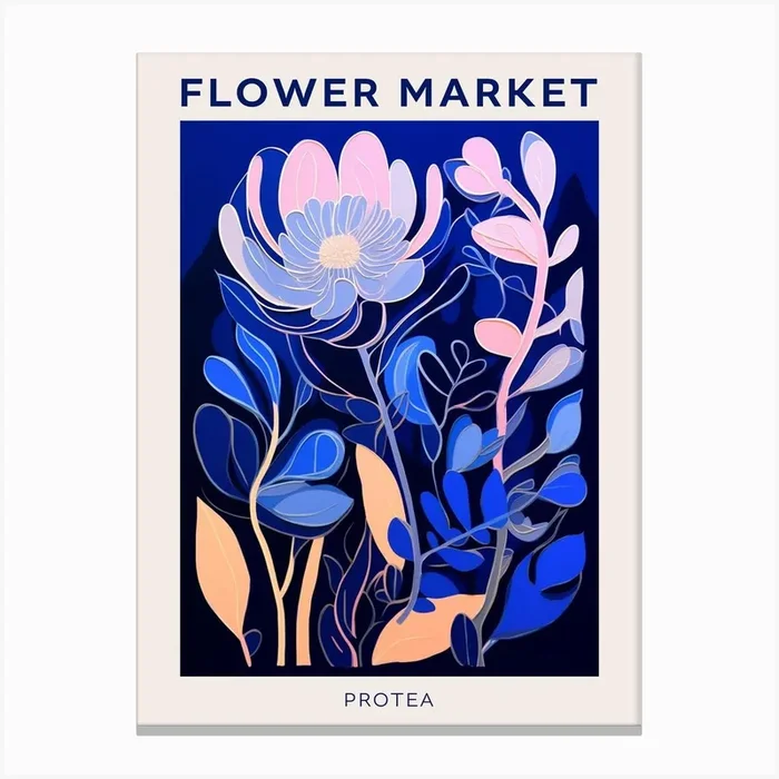 Blue Flower Market Poster Protea 3 Canvas Print by Botanic Studio