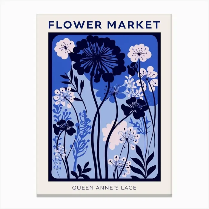 Blue Flower Market Poster Queen Annes Lace 3 Canvas Print by Botanic Studio