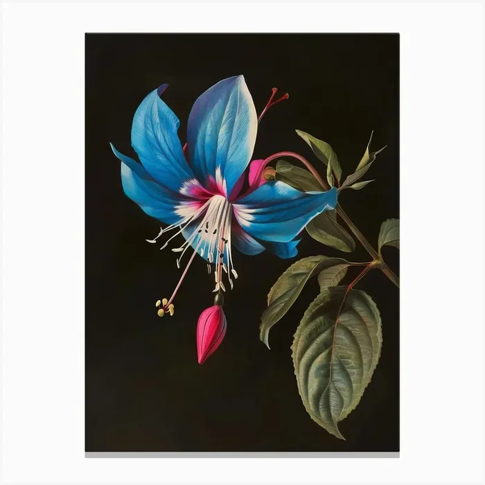 Blue Fuchsia Canvas PrintBP by Bilge Paksoylu