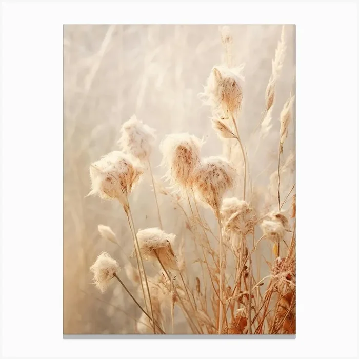 Boho Dried Flowers Bergamot 2 Canvas Print by Botanic Studio
