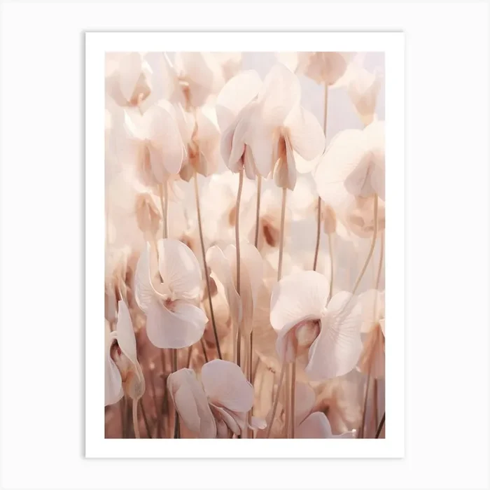 Boho Dried Flowers Cyclamen 2 Art Print by Botanic Studio