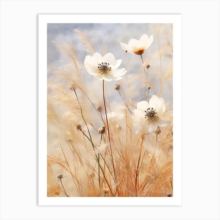 Boho Dried Flowers Love In A Mist Nigella 3 Art Print by Botanic Studio
