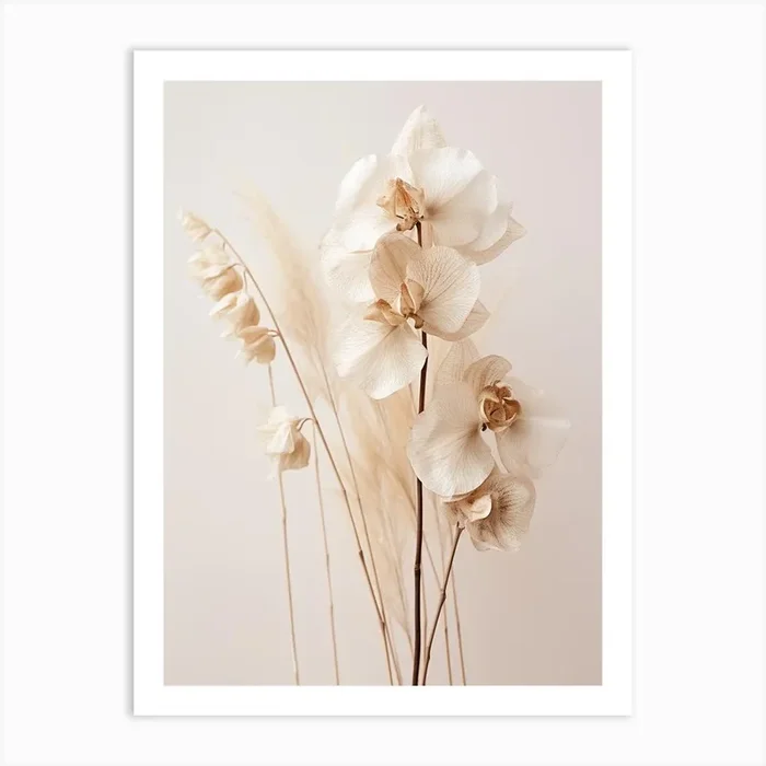 Boho Dried Flowers Orchid 7 Art Print by Botanic Studio