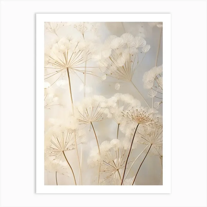 Boho Dried Flowers Queen Annes Lace 4 Art Print by Botanic Studio
