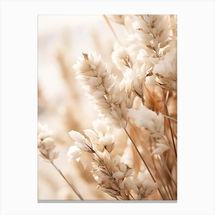 Boho Dried Flowers Statice 3 Canvas Print by Botanic Studio